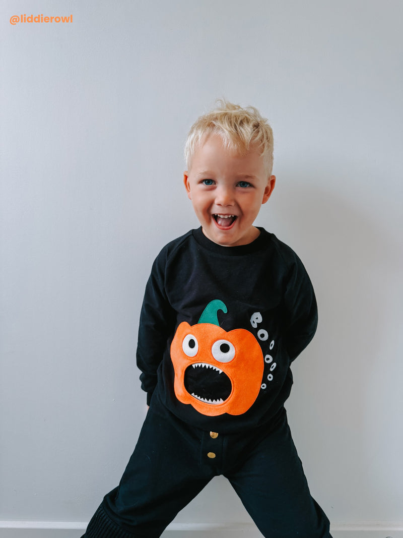 Pumpkin Party sweatshirt